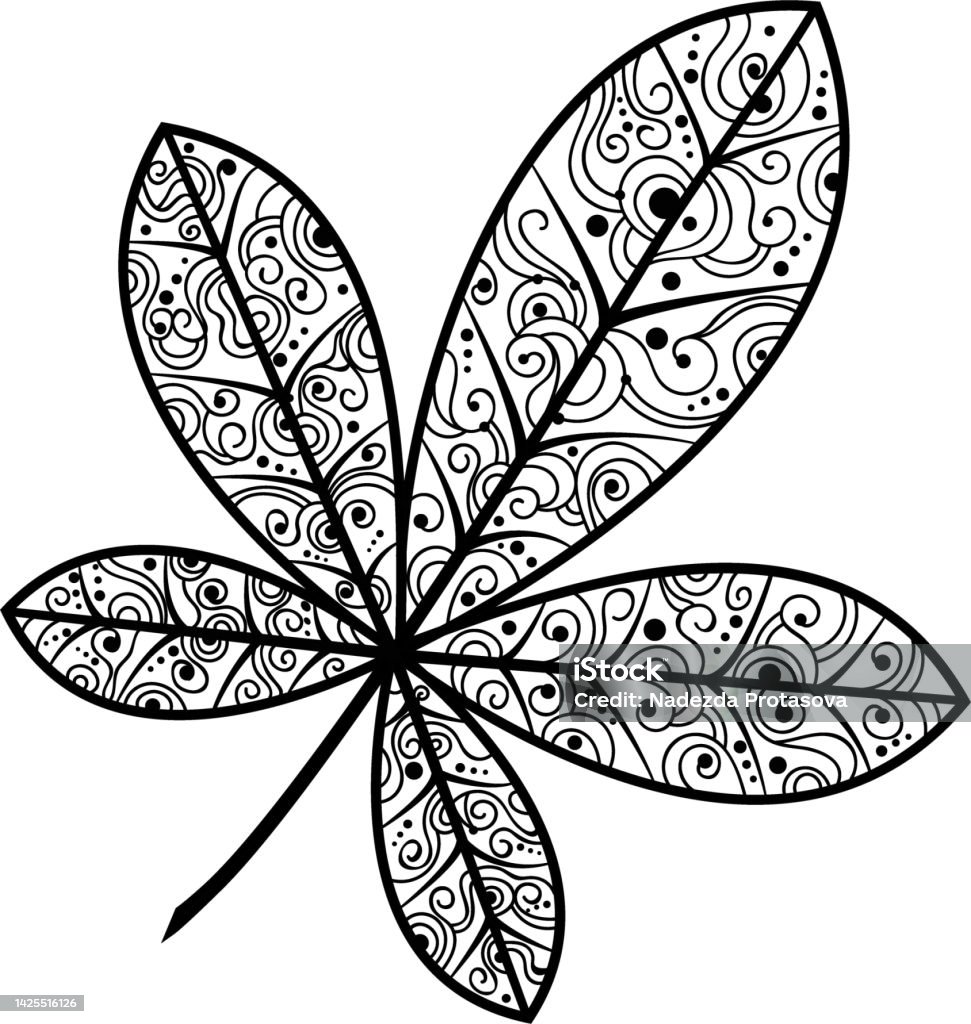 Hình Minh Họa Màu Đen Và Trắng Của Một Chiếc Lá Hạt Dẻ Minh Họa ...