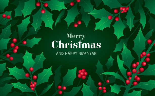 illustrations, cliparts, dessins animés et icônes de carte de noël avec bordure de houx - mistletoe christmas holly holiday