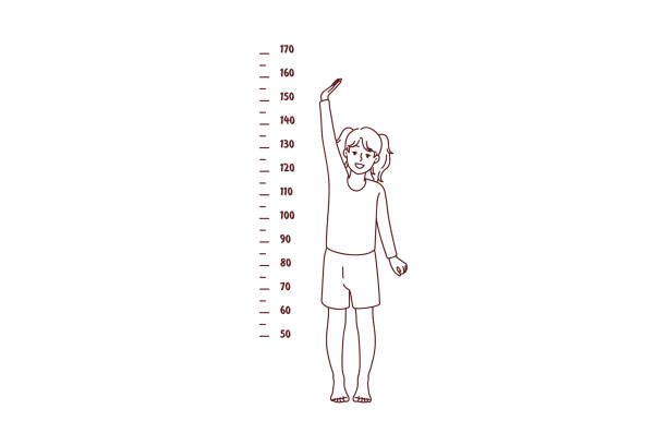 istock Small girl show height on measurement 1425523705