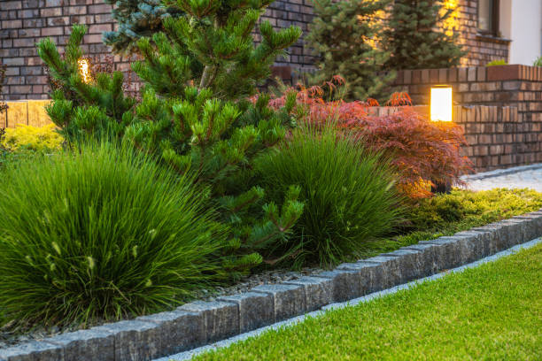 istock Illuminated by LED Light Posts Residential Backyard Garden 1425527461