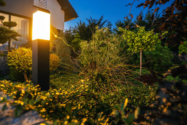 istock LED Backyard Lighting Illuminate Garden Plants 1425527653