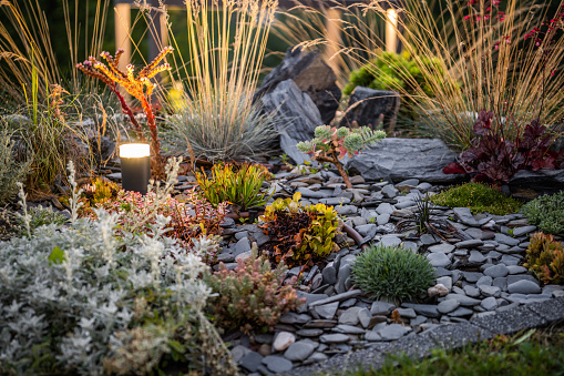 Beautifully Landscaped Flowerbed in Backyard Garden Decorated with Different Plants, Dark Pebbles and Outdoor Bollard Lighting Lamp. Landscaping Design Theme.