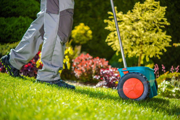 Garden Spreader in Use Closeup of Spreader Gardening Equipment Being Pushed by Professional Gardener for Fertilizing the Backyard Lawn. Garden Health Care and Maintenance Theme. lawn seeder stock pictures, royalty-free photos & images