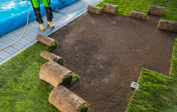 istock Landscaping Worker Rolling Out Turf Rolls in a Garden 1425528677