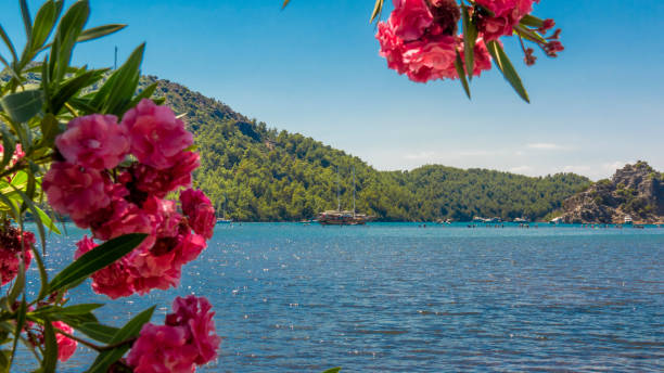 istock Marmaris Aegean Sea in Summer Time 1425532192