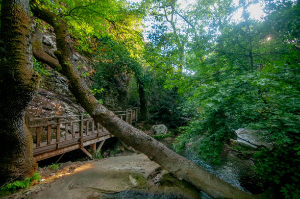 istock Turgut Waterfall from Marmaris District 1425532260