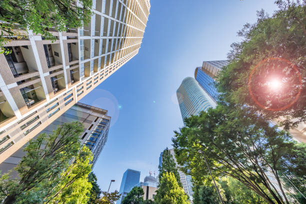 istock Tokyo cityscape with beautiful morning light 1425541908