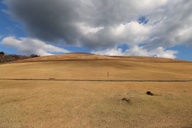 Wakakusa Foto e Immagini Stock iStock