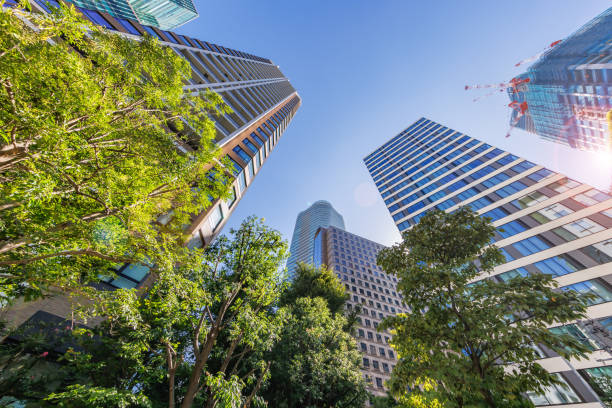 istock Tokyo cityscape with beautiful morning light 1425541990