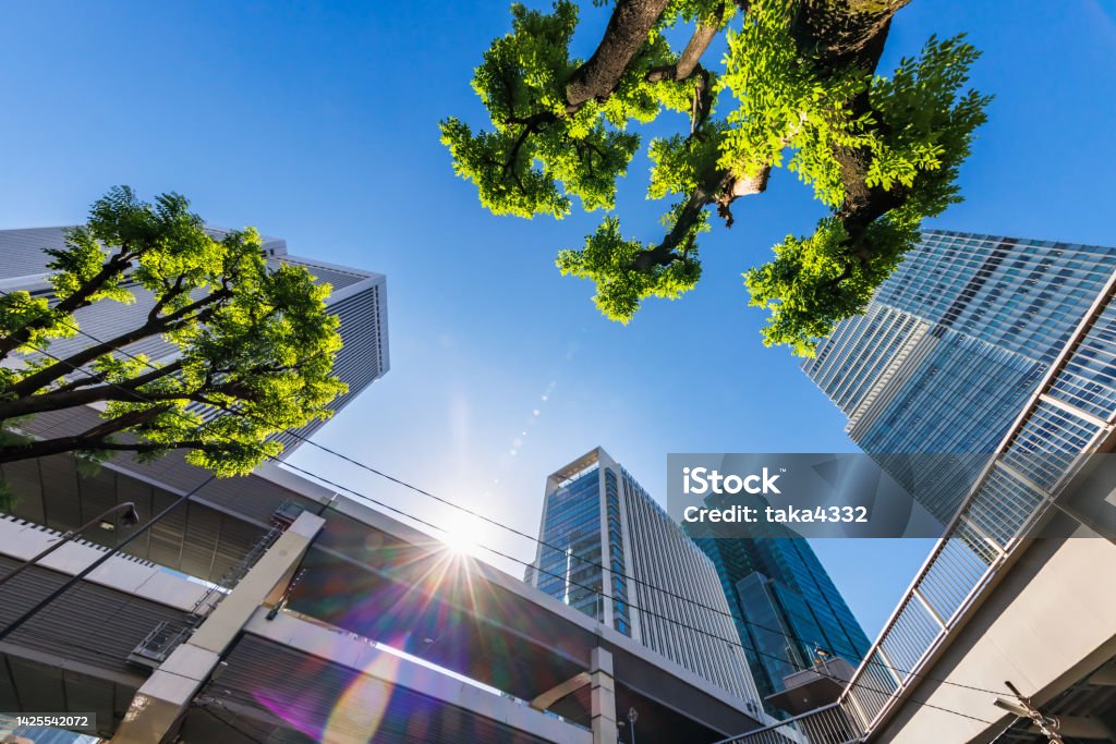 Tokyo cityscape with beautiful morning light Architecture Stock Photo