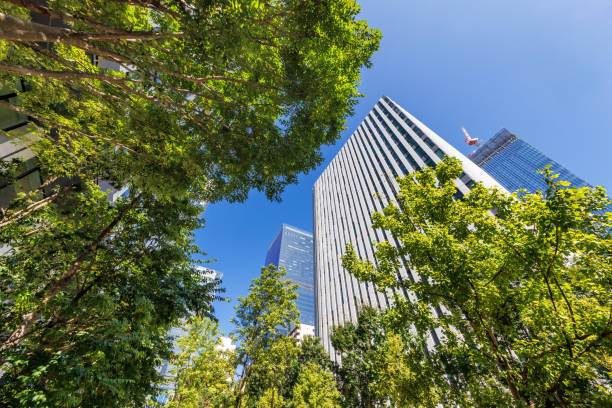 istock Tokyo cityscape with beautiful morning light 1425543671