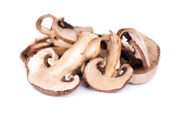 setas cortadas en rodajas aisladas sobre fondo blanco. campeones secos. - shiitake mushroom mushroom dried food dried plant fotografías e imágenes de stock