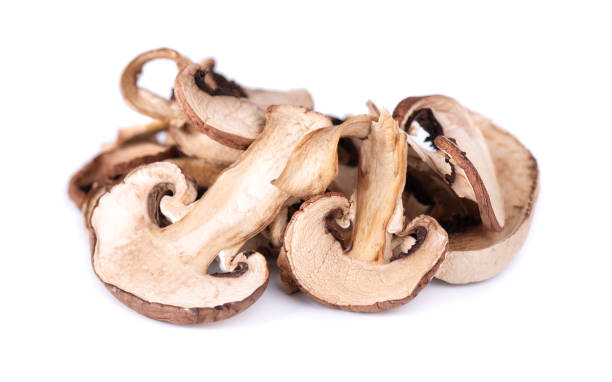 흰색 배경에 고립 된 말린 슬라이스 버섯. 드라이 샴페인. - shiitake mushroom mushroom dried food dried plant 뉴스 사진 이미지