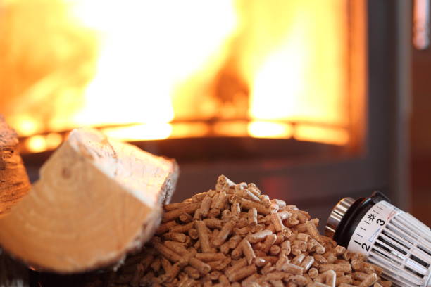 fireplace with pellets and thermostat