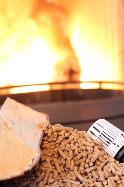 istock fireplace with pellets and thermostat 1425564328