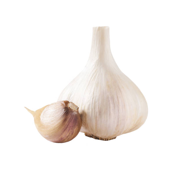 istock garlic cloves and bulbs isolated on white background. 1425565553