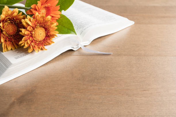 Border of open white bible and orange and yellow Gerbera daisy flowers on a light wood background with copy space