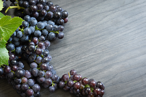 border of bunches of ripe purple grapes and grape leaves on a dark wood background with copy space