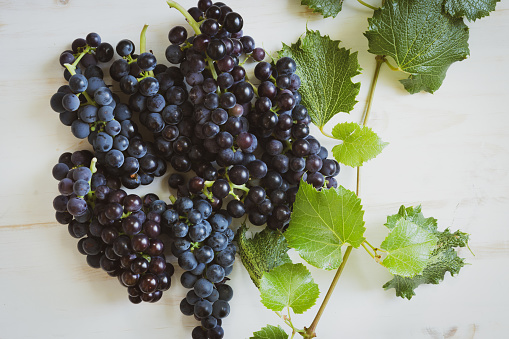 Bunches of fresh ripe purple grapes with a border of grapevine on a white background from above with copy space