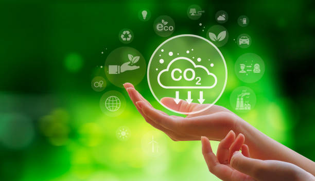 istock Carbon neutral and net zero. natural environment A climate-neutral long-term strategy greenhouse gas emissions targets with green net center icon on hand cap and green background 1425571518
