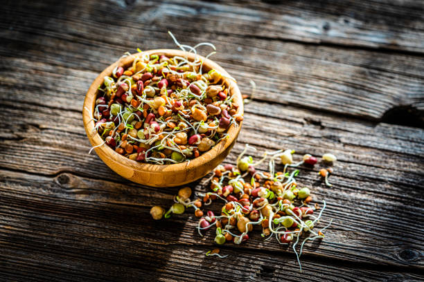 Vegan food: high angle view of various sprouted beans in a bowl shot on rustic wooden table. High resolution 42Mp studio digital capture taken with Sony A7rII and Sony FE 90mm f2.8 macro G OSS lens