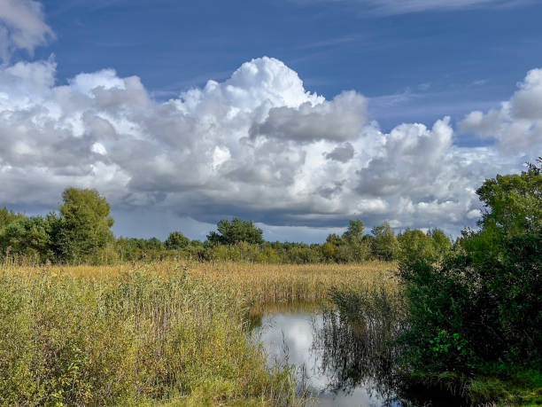 istock Outdoor close to lagoon 1425573940