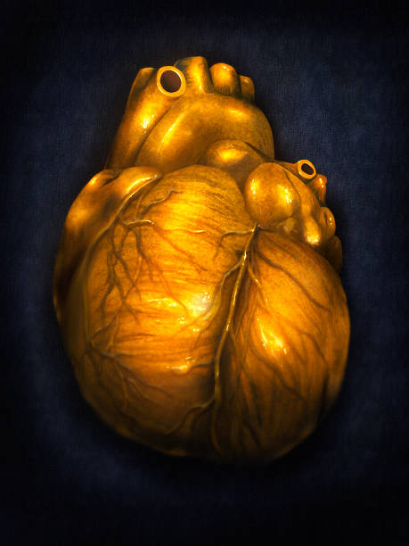 istock Heart Of Gold - Digital Painting 142557947