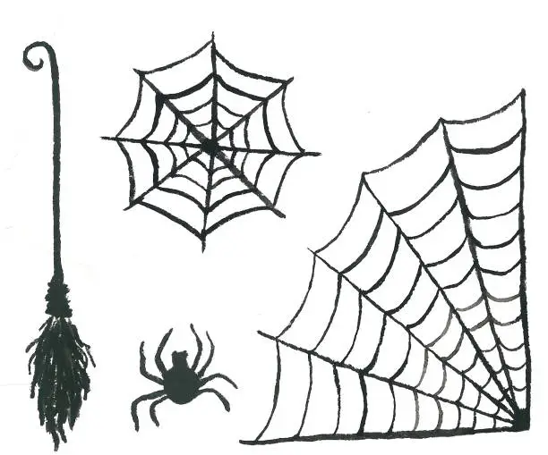 Vector illustration of Black cobweb and spider
