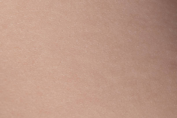 istock Surface of beige clean skin 1425583556