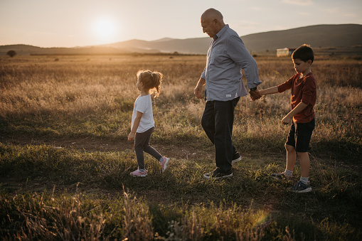 Grandfather with his grandson and granddaughter taking a walk on a meadow in sunset.