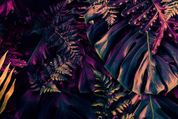 istock Tropical leaves, flat lay jungle design 1425584725