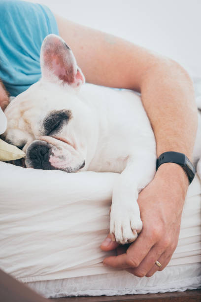 istock Man lies in bed with dog 1425597035