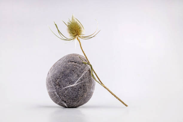 abstract space background for product presentation. natural stone and lint on a gray background