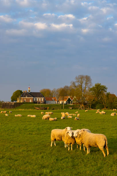 Former island of Schokland, UNESCO World Heritage Site, Netherlands stock photo