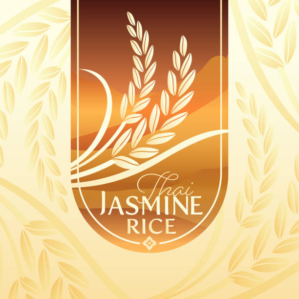 paddy rice logo vector design paddy rice premium organic natural product banner logo vector design rice4 stock illustrations