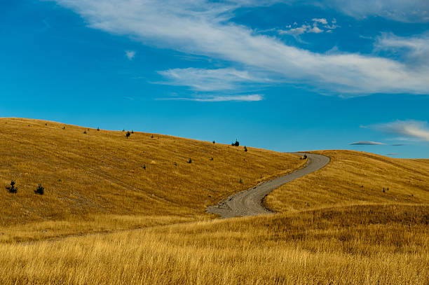 istock Mackenzie Country 142560684