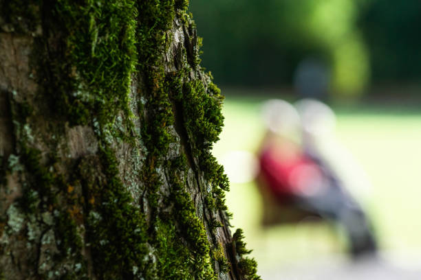 An old couple on a bench in the park. Lost in Blurr.