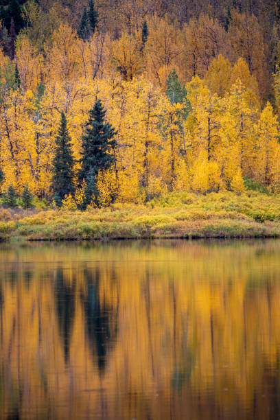 istock Fall colors on Summit Lake on the Kenai Peninsula, Alaska 1425608729