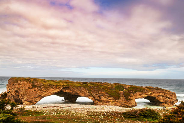 Newfoundland, Canada.