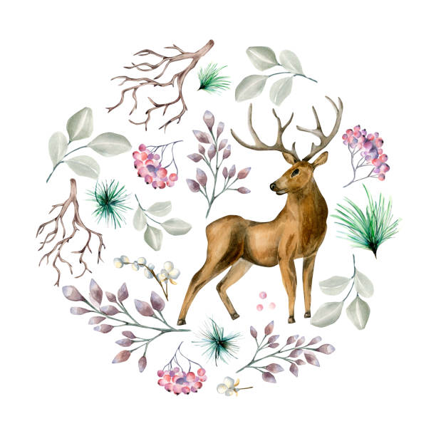 istock Circle frame of winter plants and deer watercolor illustration isolated on white. 1425612031