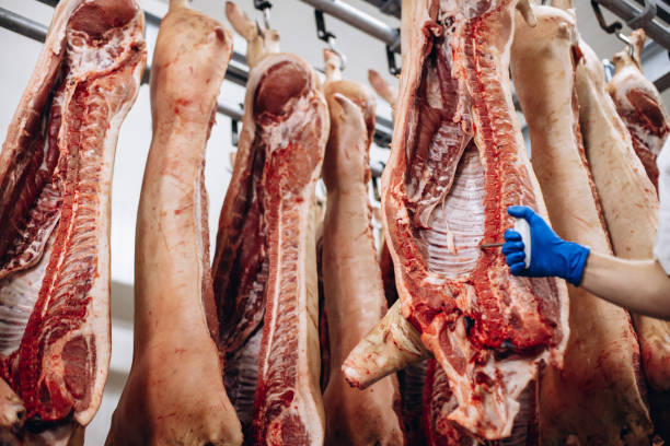 istock Man butcher standing in meat freezer holding hook 1425613536