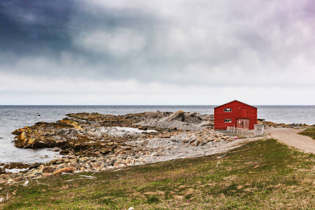 istock Broom Point. Gros Morne National Park, Newfoundland, Canada 1425616080