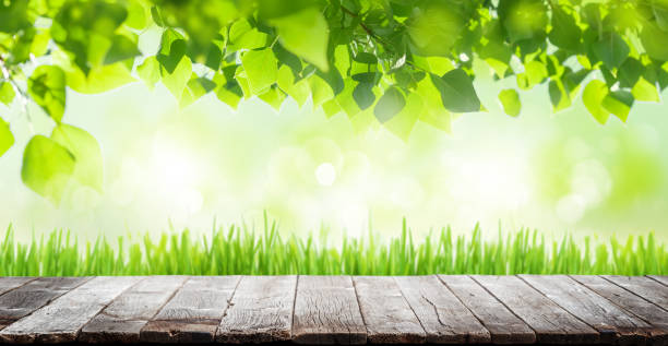 istock Wooden table with summer bokeh 1425627644