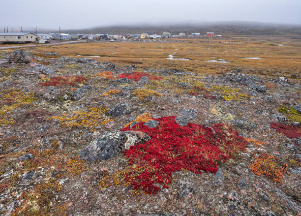 distant view of the village of apex - baffin island imagens e fotografias de stock