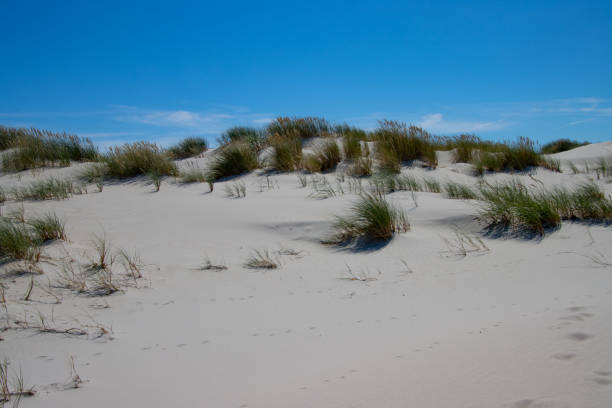 Dune landscape on the island of Amrum