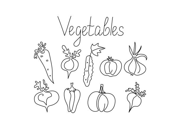 ilustrações de stock, clip art, desenhos animados e ícones de vegetables 1 - radish white background vegetable leaf