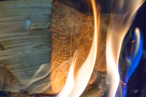 View of burning wood in the fireplace.