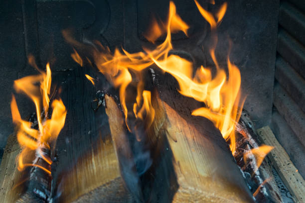 a close up view of firewood and pinecone on fire flames on the barbeque