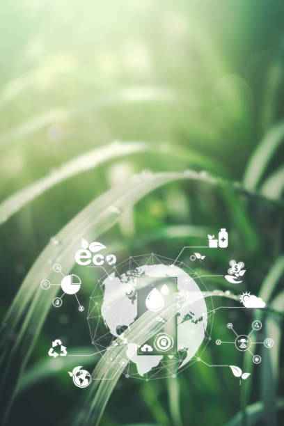 istock Sustainable energy and smart technology icon on blurred nature background, Environmental and Ecology concept. AI, Futuristic Smart virtual screen, Internet of things, social media, big data, metaverse 1425633139