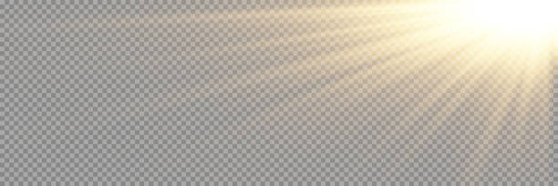 ilustraciones, imágenes clip art, dibujos animados e iconos de stock de vector transparente luz solar especial efecto de luz de destello de lente. ilustración vectorial libre de derechos de emisión. papúa nueva guinea - ray